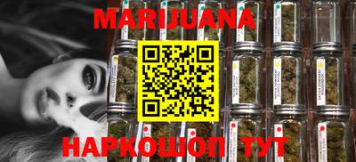 стаф Гай