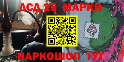 стаф Гай