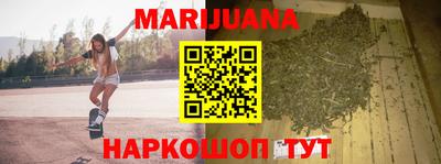 стаф Гай