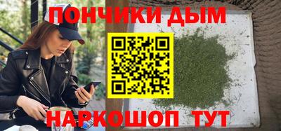 стаф Гай