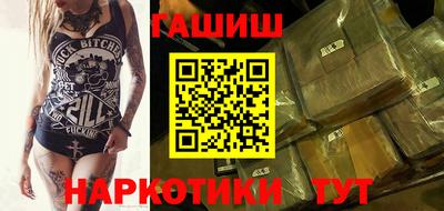 стаф Гай